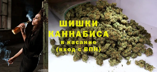 шишки Алексеевка