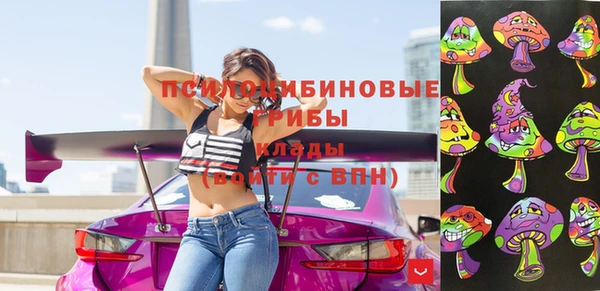 ГАЛЛЮЦИНОГЕННЫЕ ГРИБЫ Алексин