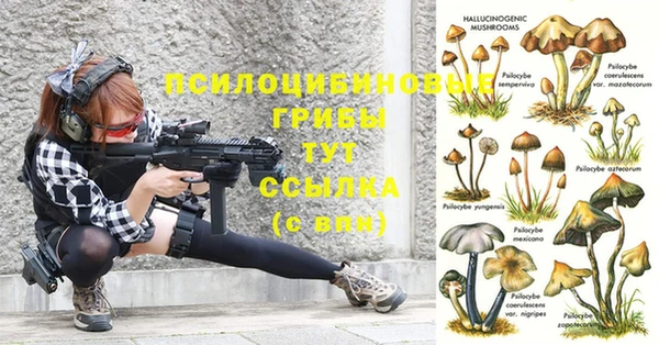 прущая мука Абдулино