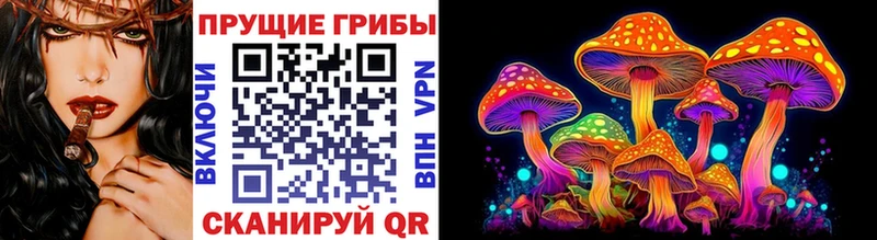 Псилоцибиновые грибы Cubensis  Красновишерск 